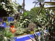 Jardin Majorelle